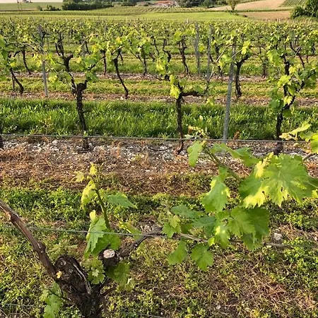 Hébergement de vacances Le Pigeonnier Verrieres (Charente)