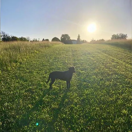 Hébergement de vacances Le Pigeonnier