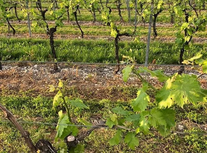 Semesterbostad Le Pigeonnier Verrieres (Charente)